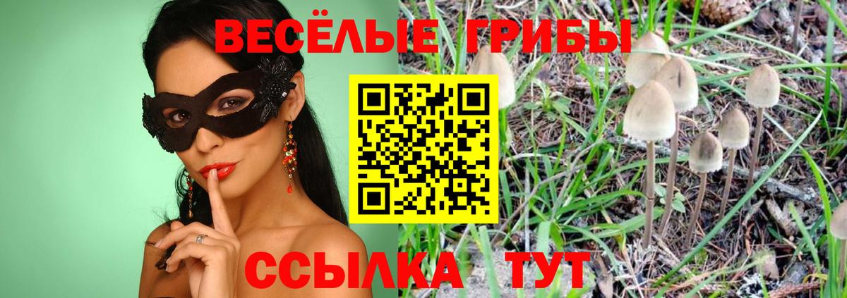 Галлюциногенные грибы ЛСД  Вход с VPN  Полевской 