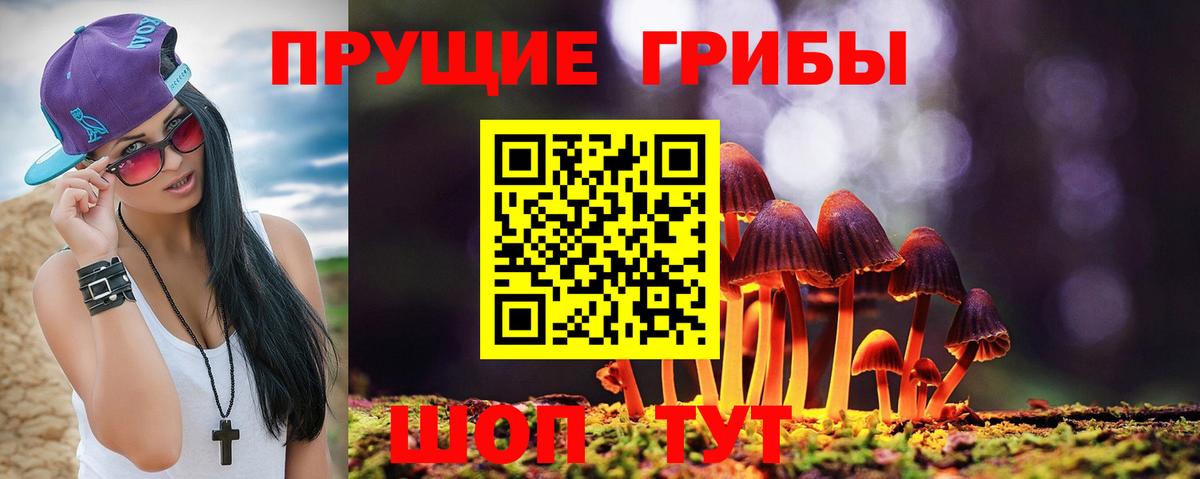 Псилоцибиновые грибы ЛСД Полевской